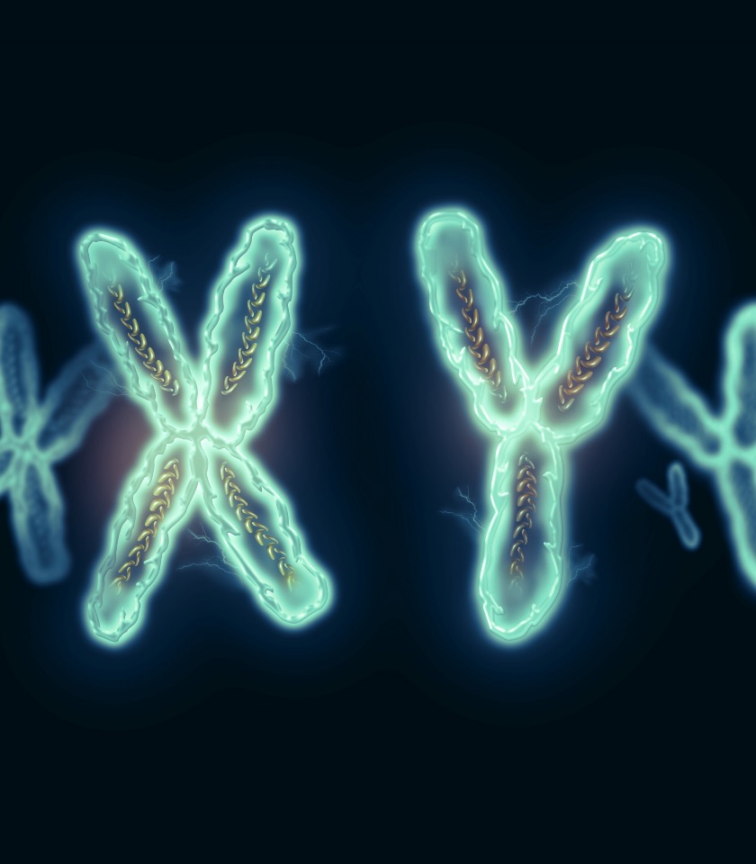 CYTOGENETICS