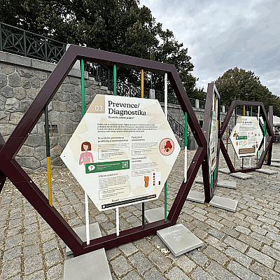 tempImageMxVAws