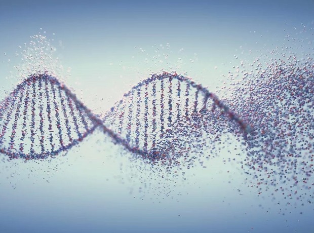 We have published a new article in the professional journal Acta medicinae on tumor syndromes.