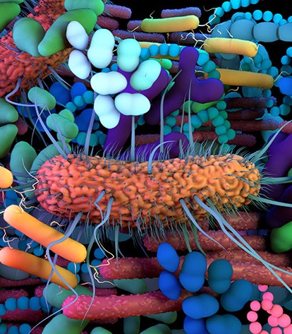 PR článek GHC Genetics na iGlanc.cz