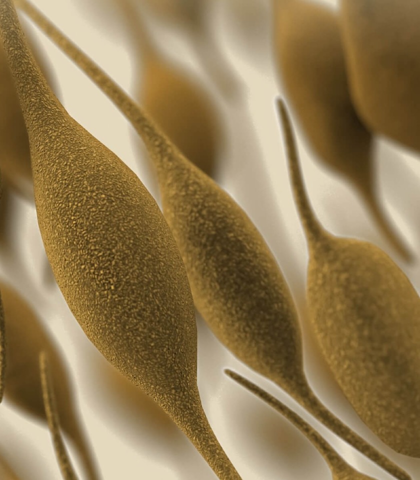 Get tested for Mycoplasma genitalium—you might have it without even knowing it, and it could be a cause of infertility