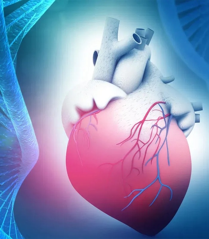 Kardiologie pohledem klinického genetika