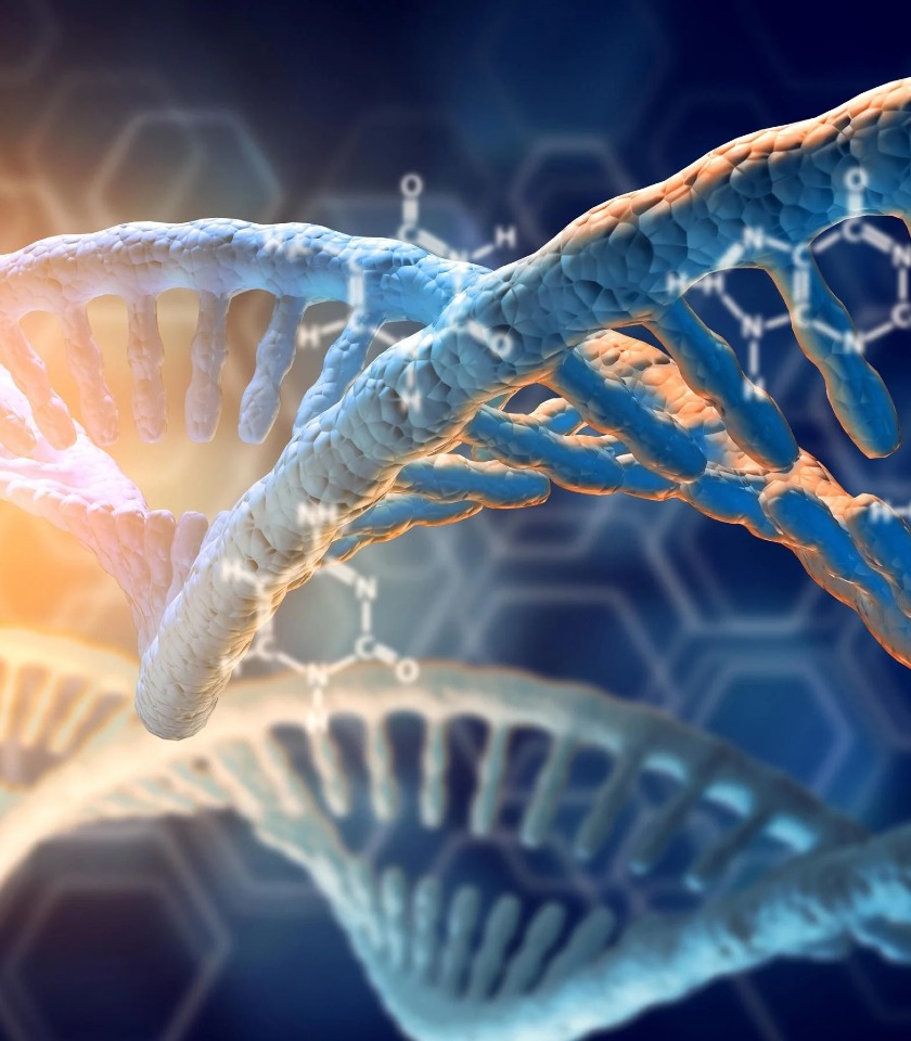 Nová studie odhalila, že DNA lze sestavit způsobem, který jsme dosud neznali
