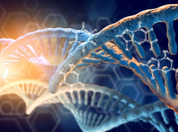 A new study has revealed that DNA can be assembled in a way we didn't know about before