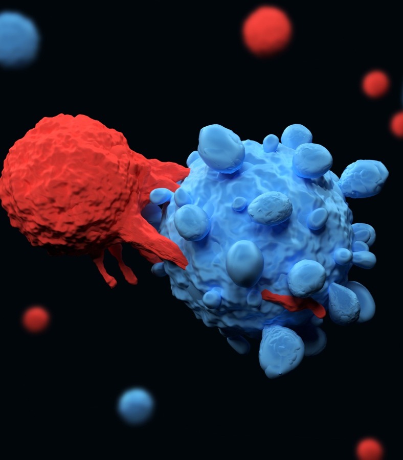 A revolutionary treatment for certain types of cancer, with a 99% success rate, is coming to the Czech Republic. The first patient will receive it as early as June.